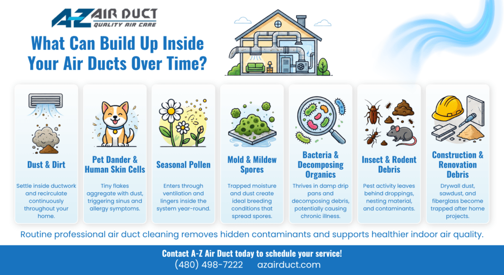 Infographic showing common air duct contaminants: dust and dirt, pet dander, seasonal pollen, mold and mildew spores, bacteria, insect and rodent debris, and construction debris