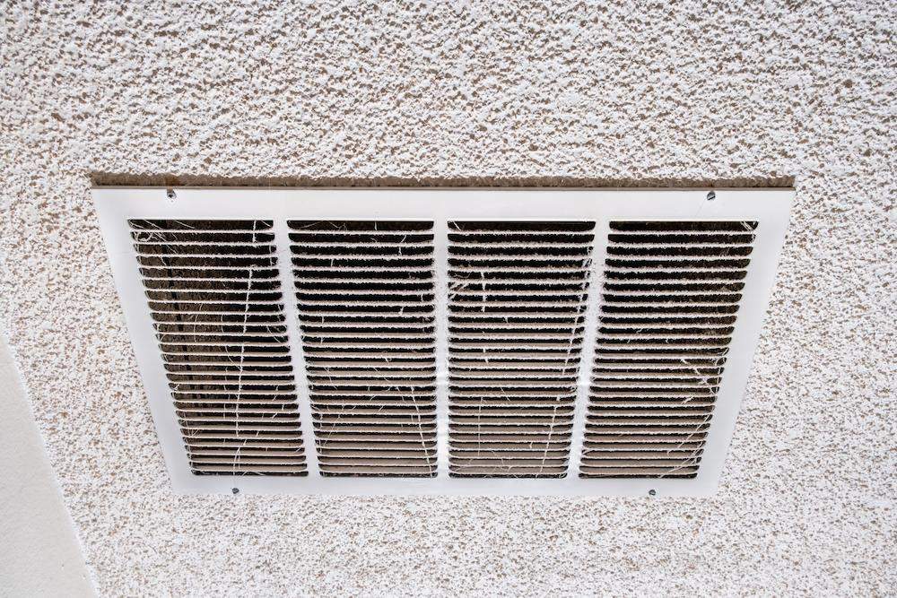 Clean Air for Gyms and Fitness Facilities: Healthier Air, Better Performance