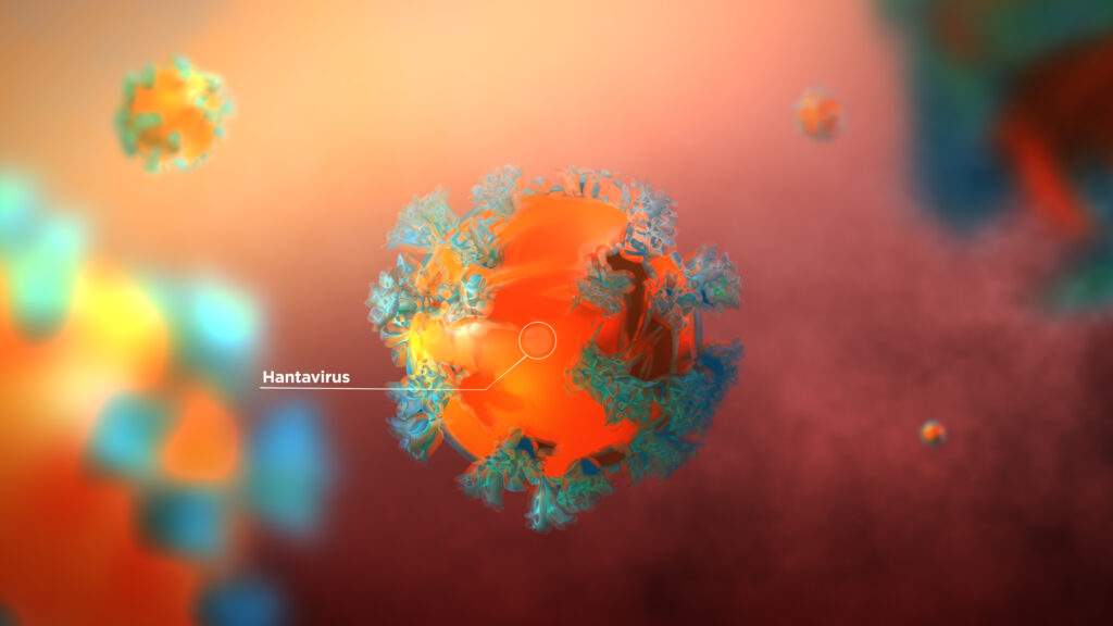 Understanding Hantavirus and How Air Duct Cleaning Helps Improve Indoor Air Quality